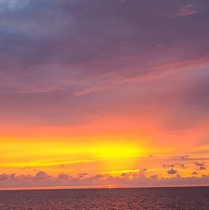 Meet your Posher, Ellen